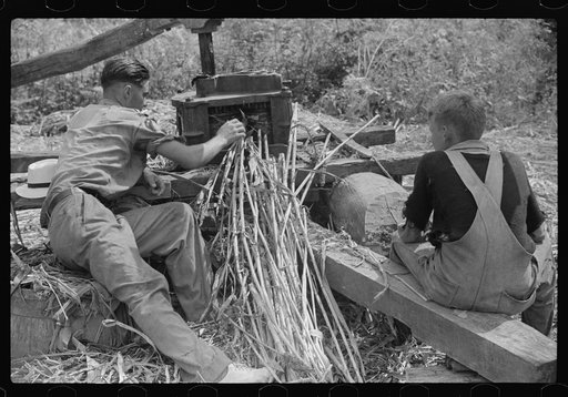 Pressing juice from sugarcane to make sorghum, Racine, West Virginia