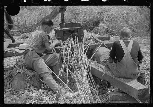 Untitled photo, possibly related to: Pressing juice from sugarcane to make sorghum, Racine, West Virginia