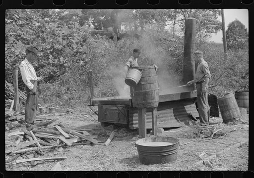 Boiling juice of sugarcane into sorghum molasses. Racine, West Virginia