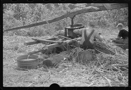 Untitled photo, possibly related to: Boiling juice of sugarcane into sorghum molasses. Racine, West Virginia