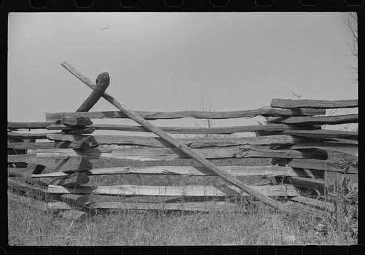 Untitled photo, possibly related to: Typical rail (snake) fence, West Virginia
