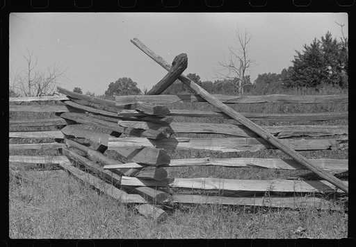 Typical rail (snake) fence, West Virginia