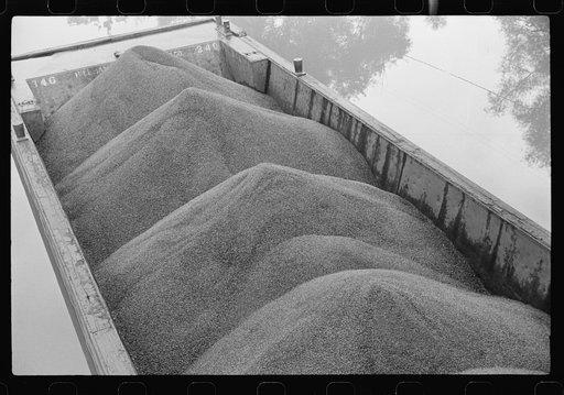 Coal on riverboat, Scotts Run, West Virginia