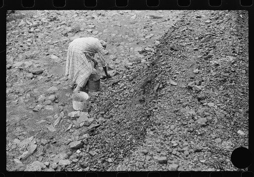 Untitled photo, possibly related to: Negro woman picking up coal from old slate heaps in mining community. The "Patch," Cassville, West Virginia