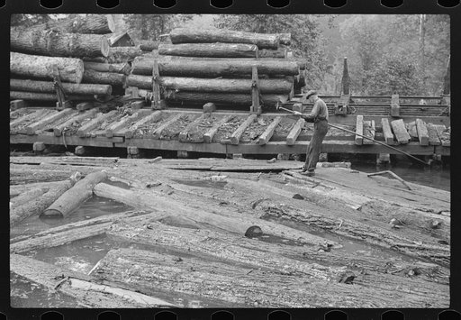 Pushing the logs toward the sawmill, Erwin, West Virginia