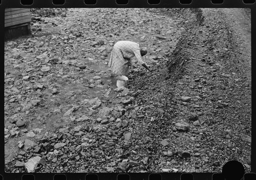 Untitled photo, possibly related to: Negro woman picking up coal from old slate heaps in mining community. The "Patch," Cassville, West Virginia