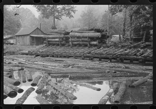 Logs for sawmill, Erwin, West Virginia