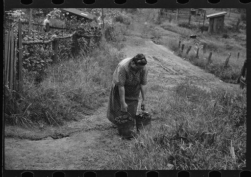Hungarian miner's wife bringing home coal for the stove from slate pile. Coal camp, Chaplin, West Virginia