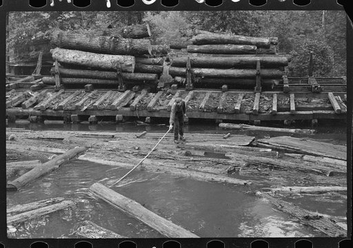 Untitled photo, possibly related to: Pushing the logs toward the sawmill, Erwin, West Virginia