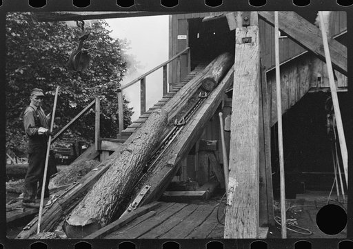 Untitled photo, possibly related to: Spiking and guiding logs up ramp into mill where they are sawed. Erwin, West Virginia