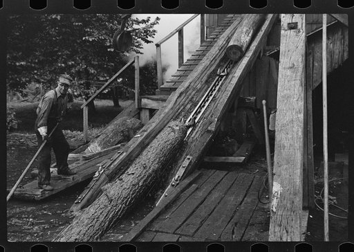 Spiking and guiding logs up ramp into mill where they are sawed. Erwin, West Virginia
