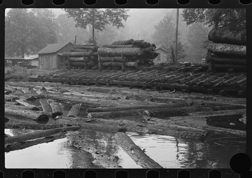 Untitled photo, possibly related to: Logs for sawmill, Erwin, West Virginia