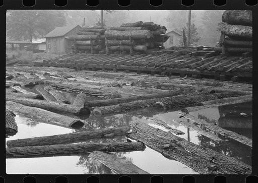 Untitled photo, possibly related to: Logs for sawmill, Erwin, West Virginia