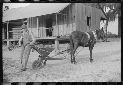 Son of J.D. Smith, rural rehabilitation borrower on undeveloped government land. The water is carried from neighbor's house. He has a new mule and fertilizing distributor bought with FSA (Farm Security Administration) funds, Coffee County, Alabama. The mule cost one hundred and sixty-five dollars. T