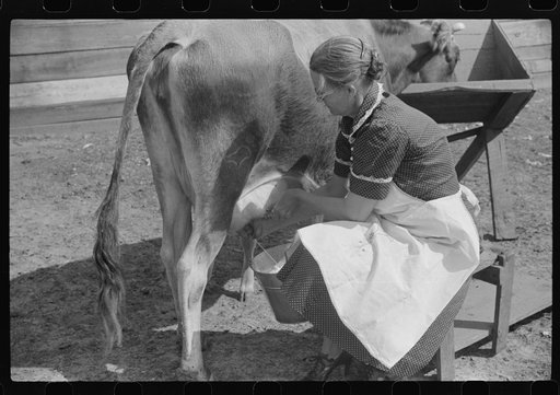 Mrs. Watkins, FSA (Farm Security Administration) borrower, Coffee County, Alabama, has two milk cows. She sells eight to ten pounds of butter each week
