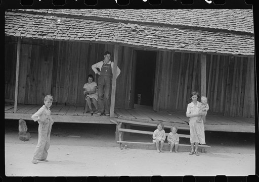 The Ellis Adkins' are rural rehabilitation borrowers. There are nine in the family and this is their first year on the program. Coffee County, Alabama