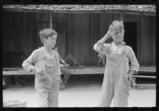 Two sons of Mr. and Mrs. Ellis Adkins, rural rehabilitation borrowers. This is their first year on the program. There are nine in the family. Coffee County, Alabama