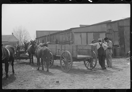 Farmers talking in mule and wagon yard after coming to town on Saturday. Enterprise, Coffee County, Alabama