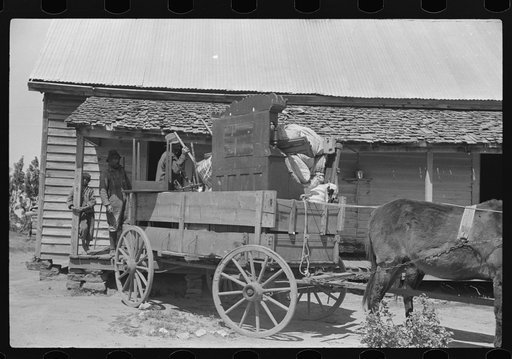 Negro day laborer moving from one man's farm to another to get work. He wasn't needed any more by former "employer." The son of his new employer said his father used to have tenants but that they "skinned" him too often by moving out on him all the time. So he just hires by the day now. Near Madison