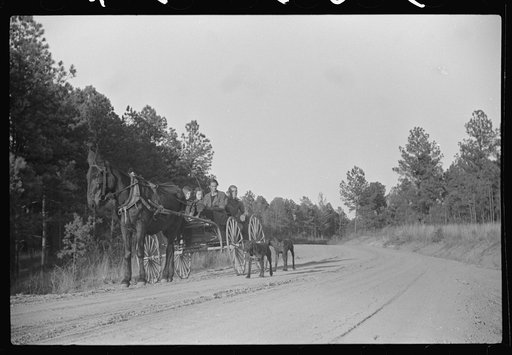 Untitled photo, possibly related to: Rural rehabilitation family. Greene County, Georgia