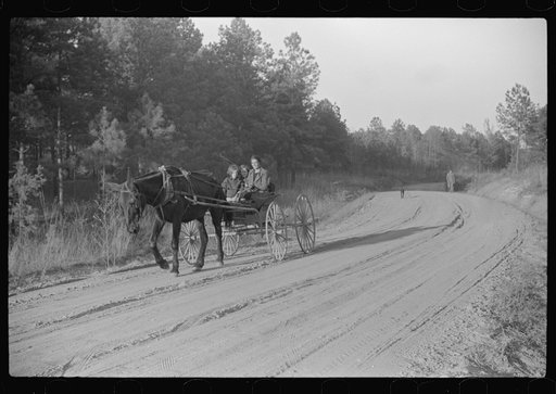 Untitled photo, possibly related to: Rural rehabilitation family. Greene County, Georgia