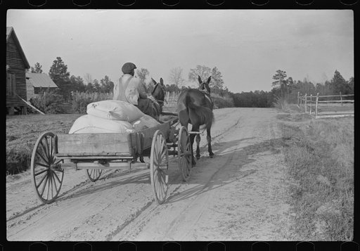 Untitled photo, possibly related to: Bringing home meal from cooperative grist mill, Gees Bend, Alabama
