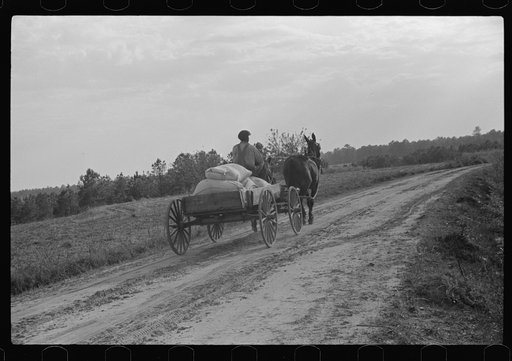 Untitled photo, possibly related to: Bringing home meal from cooperative grist mill, Gees Bend, Alabama