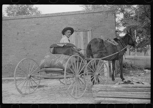 Lee Betties, rural rehabilitation client, with sack of horse and mule feed on rear of his wagon, leaving general store at Woodville, Greene County, Georgia