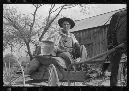 Lee Betties, rural rehabilitation client, with sack of horse and mule feed on rear of his wagon, leaving general store at Woodville, Greene County, Georgia