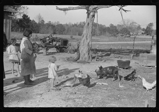 Melody Tillery's wife and children with a few of their chickens and pigs (rural rehabilitation client). Pike County, Alabama