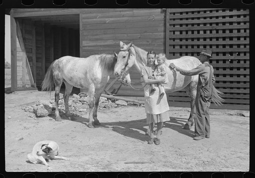 George Johnson's wife and her father, Mr. Scofield, and their two mares. Tenant purchase clients. Pike County, Alabama