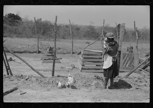 Untitled photo, possibly related to: Charles McGuire's wife and baby looking at their new poultry yard and pen with biddies. Tenant purchase clients. Pike County, Alabama