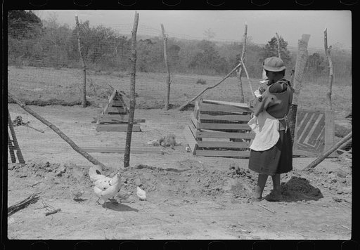 Charles McGuire's wife and baby looking at their new poultry yard and pen with biddies. Tenant purchase clients. Pike County, Alabama