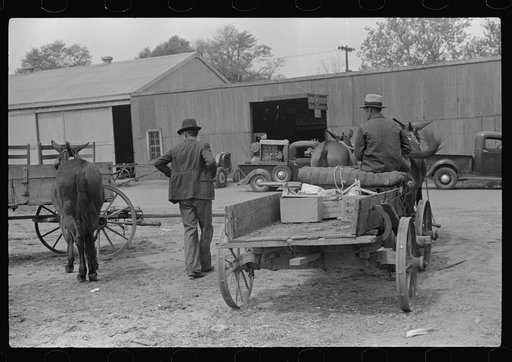 Farmer going home from town. Saturday afternoon, Enterprise, Alabama