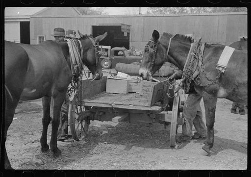 Untitled photo, possibly related to: Farmer going home from town. Saturday afternoon, Enterprise, Alabama