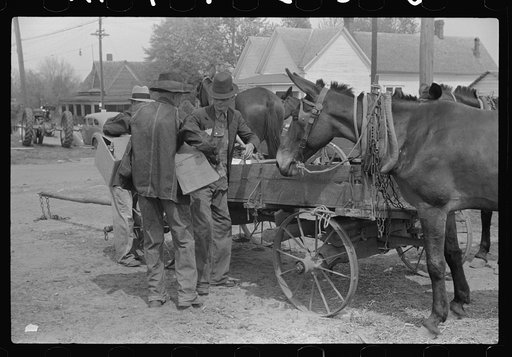 Untitled photo, possibly related to: Farmer going home from town. Saturday afternoon, Enterprise, Alabama