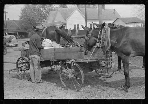 Untitled photo, possibly related to: Farmer going home from town. Saturday afternoon, Enterprise, Alabama
