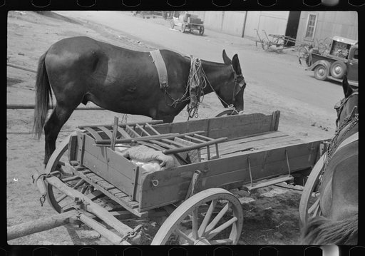 Untitled photo, possibly related to: Farmer going home from town. Saturday afternoon, Enterprise, Alabama