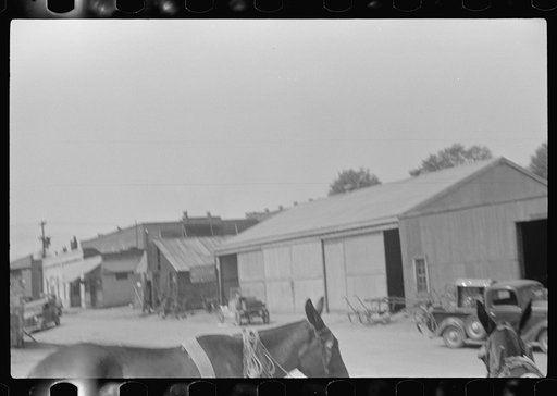 Untitled photo, possibly related to: Farmer going home from town. Saturday afternoon, Enterprise, Alabama