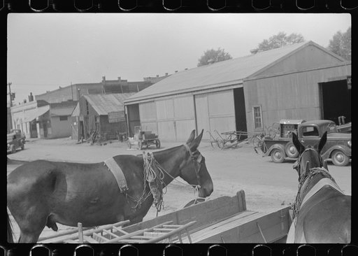 Untitled photo, possibly related to: Farmer going home from town. Saturday afternoon, Enterprise, Alabama
