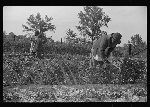 Angelina Parker and children working in garden, Gees Bend, Alabama
