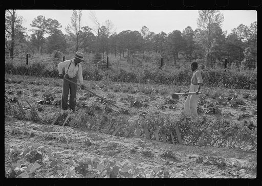 Mark Parker and son working in garden, Gees Bend, Alabama