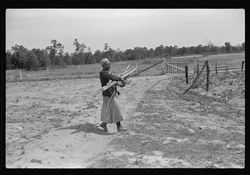 Aunt Nellie Pettway, carrying wood from yard for fireplace. Gees Bend, Alabama