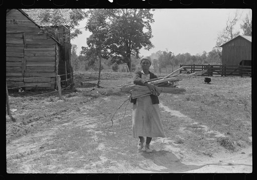 Aunt Nellie Pettway, carrying wood from yard for fireplace. Gees Bend, Alabama