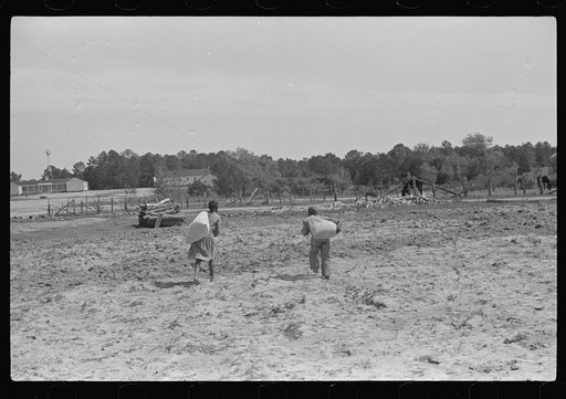 Two children of project families taking home the ground corn meal from the cooperative mill, Gees Bend, Alabama