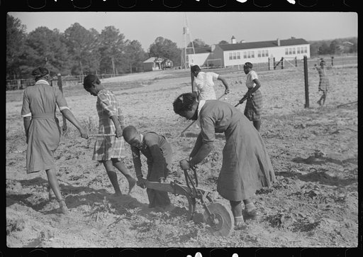Untitled photo, possibly related to: Behind the homemade plow in the school garden, Gees Bend, Alabama