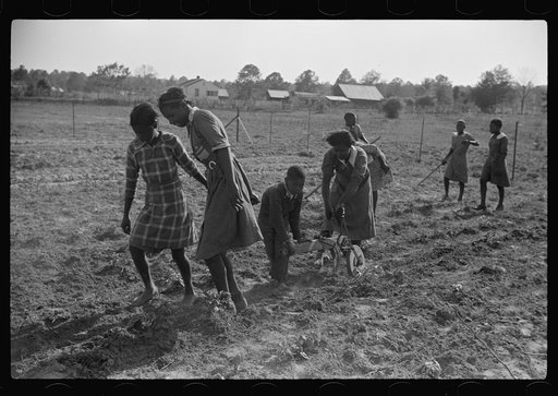 Untitled photo, possibly related to: Behind the homemade plow in the school garden, Gees Bend, Alabama