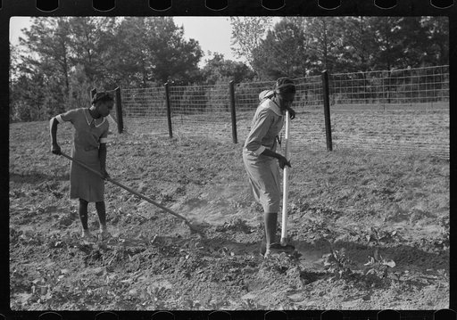 Untitled photo, possibly related to: Working in school garden, Gees Bend, Alabama
