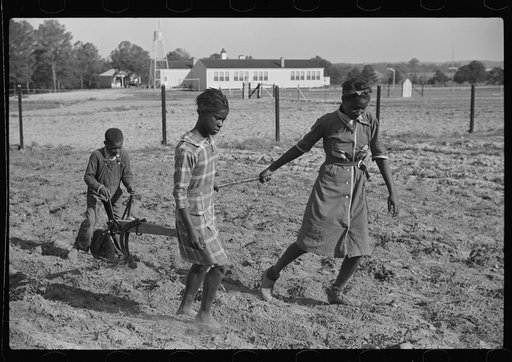 Behind the homemade plow in the school garden, Gees Bend, Alabama