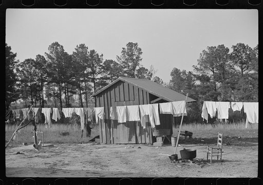 A washline, instead of hanging the clothes on a fence or the bushes, in Nolan Pettway's backyard, Gees Bend, Alabama